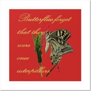 Butterflies Forget They Were Once Caterpillars Proverbial Text Posters and Art